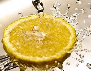 conservation citron